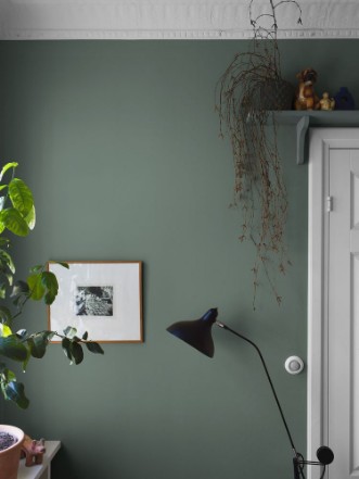 Image de Dusk Green - 7556