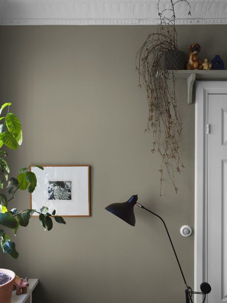 Image de Light Olive - 7558