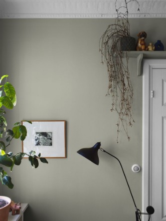 Picture of Linden Green - 7559