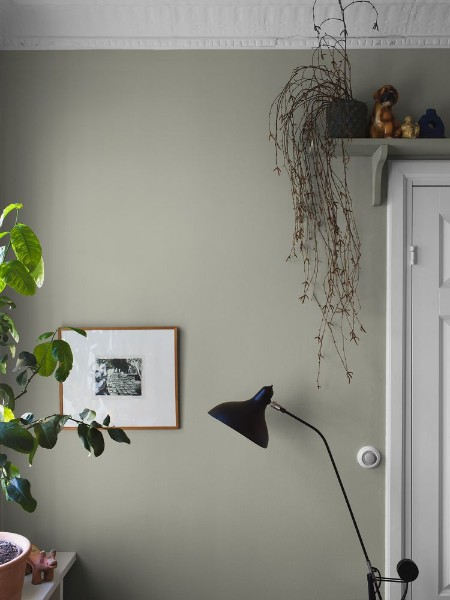 Image de Linden Green - 7559