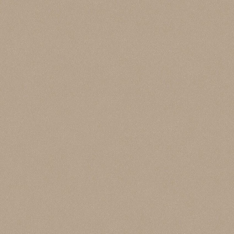 Bild på Shell Sand - 7575