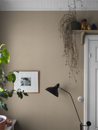 Picture of Sahara Sand - 7576