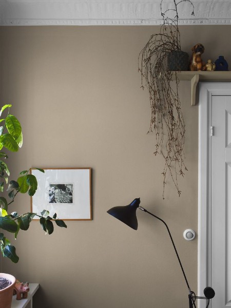 Picture of Sahara Sand - 7576