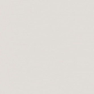 Image de Grey Feather - 7541