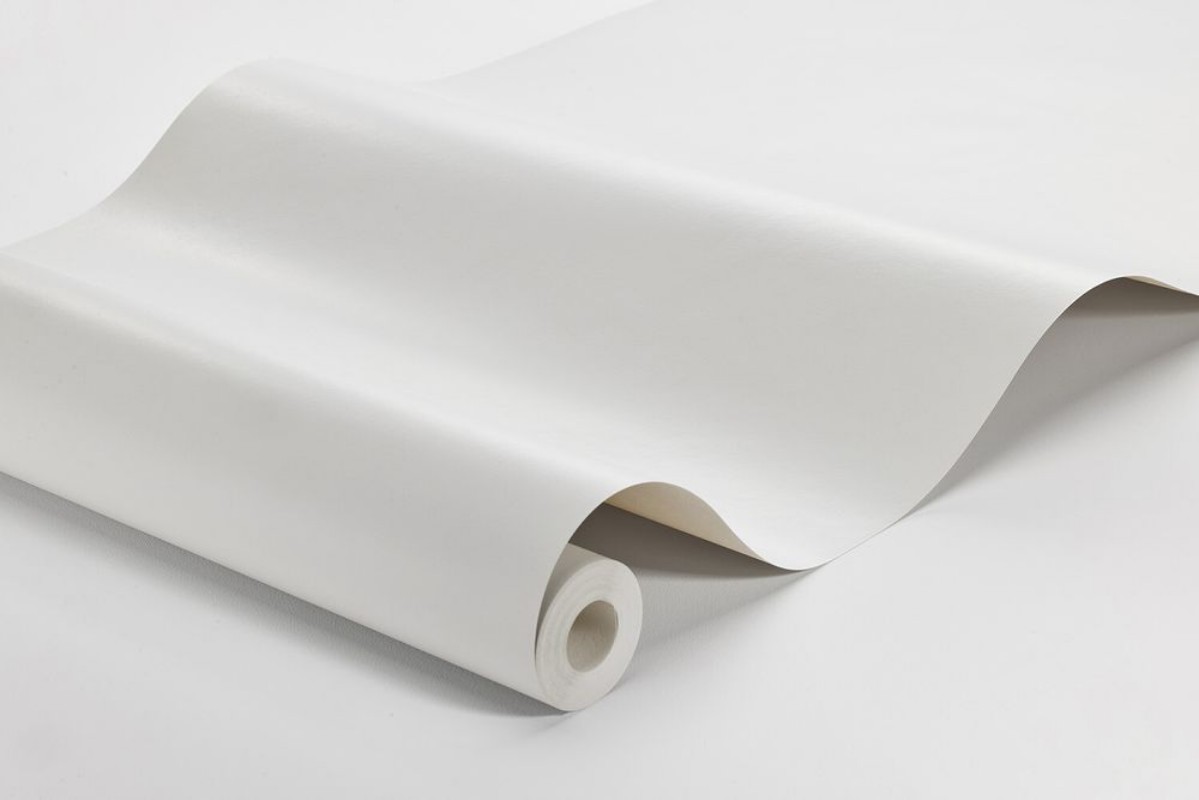 Image de Grey Feather - 7541