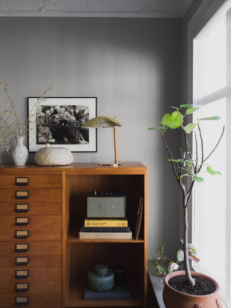 Bild på Seal Grey - 7542