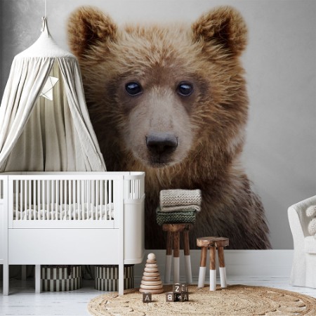 Bild på Baby Bear