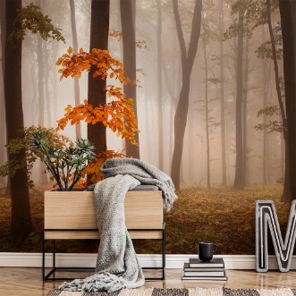 Picture of In November Light