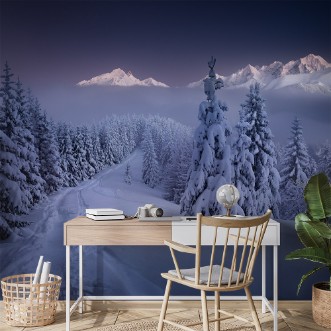 Picture of In the Winter