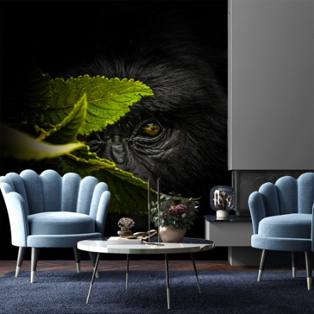 Picture of Keeping secrets