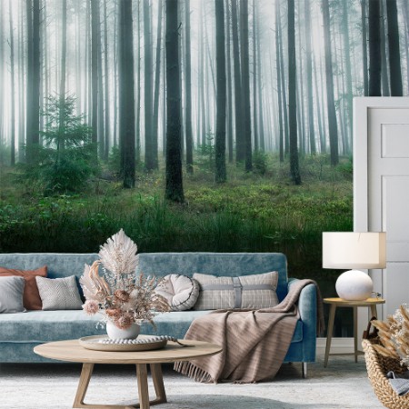 Bild på Lake in forest