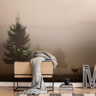 Picture of Looking for Love