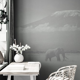 Picture of Lost Colors II