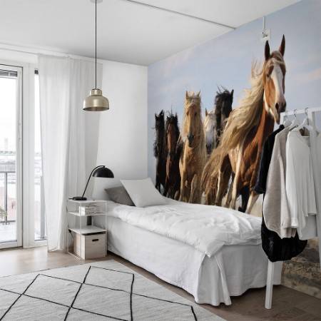 Picture of Lucky Six