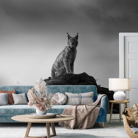 Picture of Lynx drama.