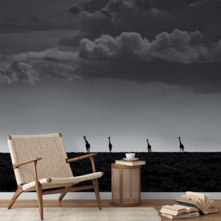 Εικόνα της 6 Giraffes