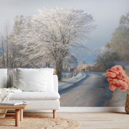 Picture of A Frosty Morning