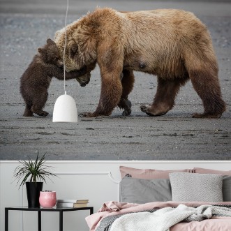 Picture of A Little Bear Hug