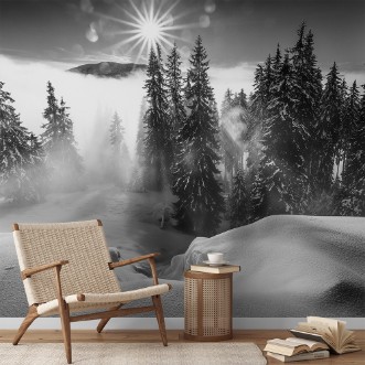 Afbeeldingen van A Winter Tale !