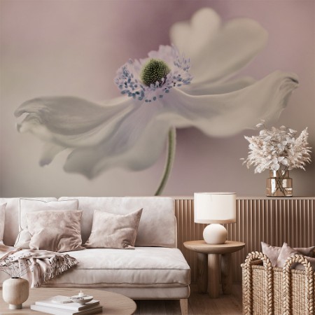 Image de Anemone breeze