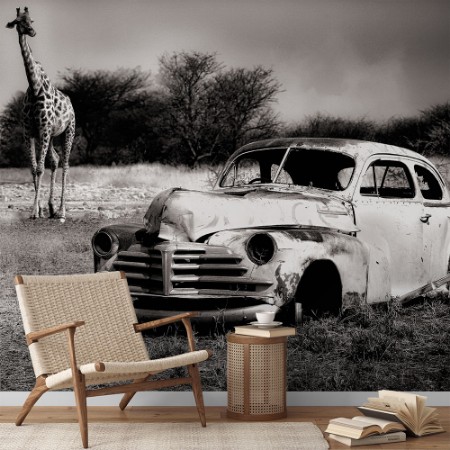 Picture of Aqcuaintance