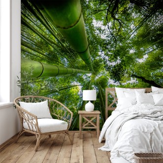 Afbeeldingen van ARASHIYAMA