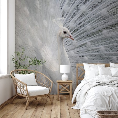 Image de As white as snow