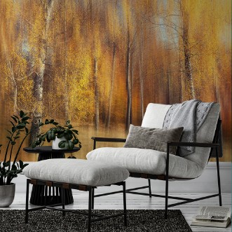 Picture of Efterårsbirketræer