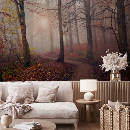 Image de Autumn Sun.