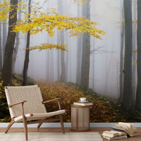 Image de Autumn Tree