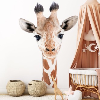 Image de Girafe bébé