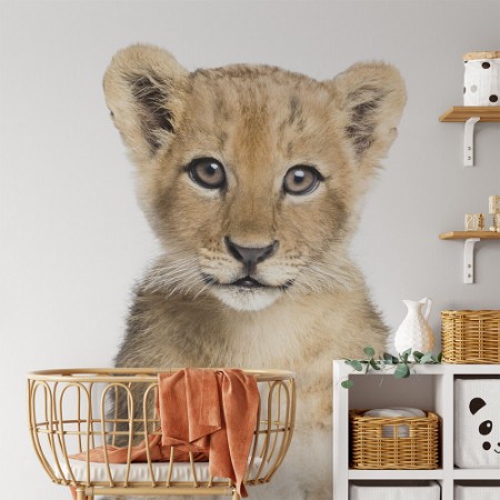 Picture of Baby løve