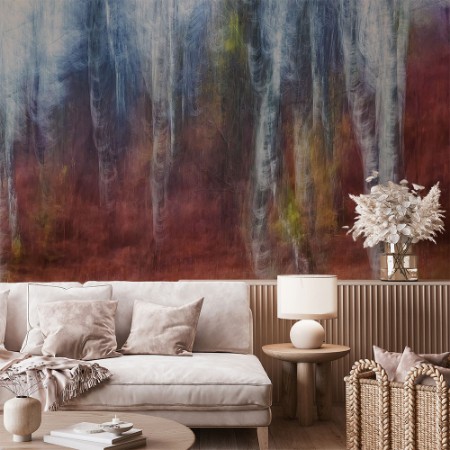 Picture of Birch trees