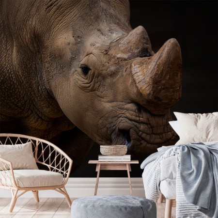 Picture of Bulldozer