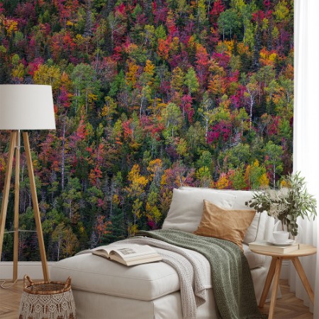 Bild på Color palette