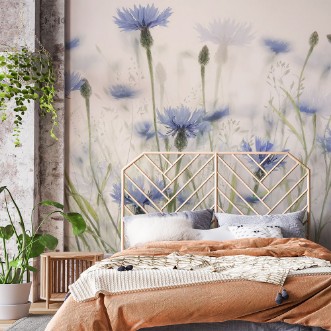 Bild von Cornflowers