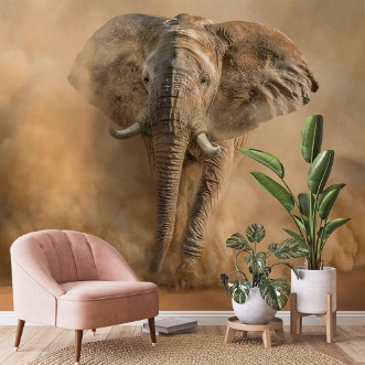 Picture of Desertstorm