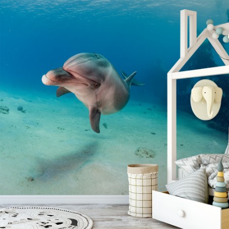 Image de Dolphin