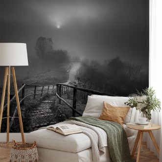 Picture of Down the Stairs