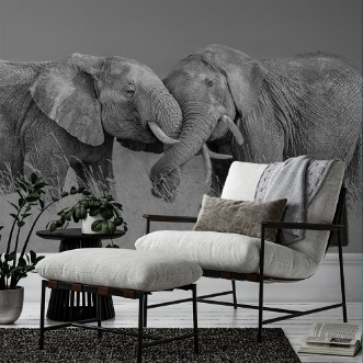 Attēls Ziloņu cīņa