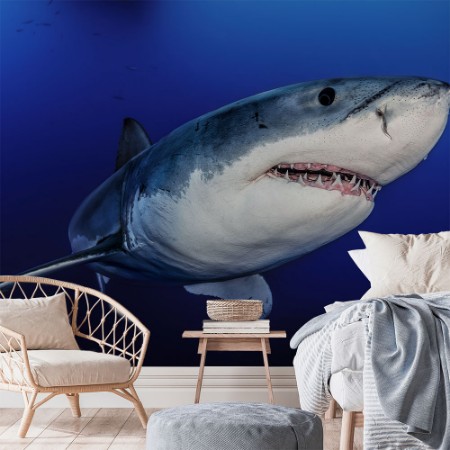 Image de Face to face