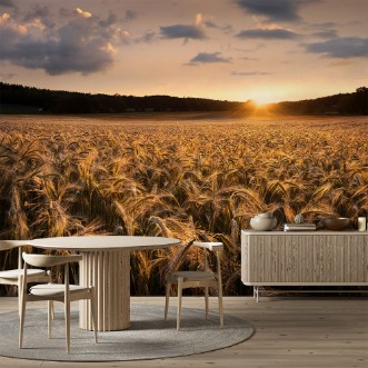 Picture of Fields of gold