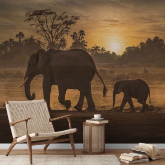 Picture of Follow me