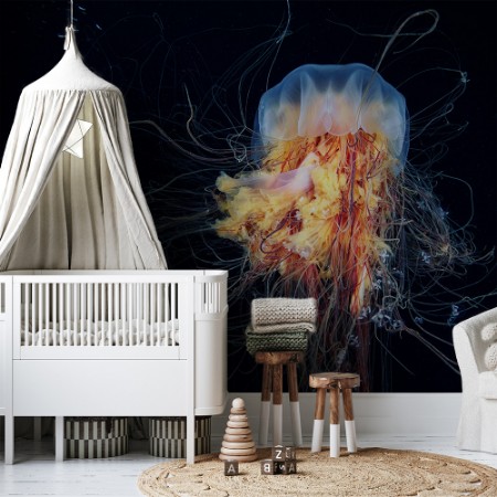 Picture of Giant Lion's Mane