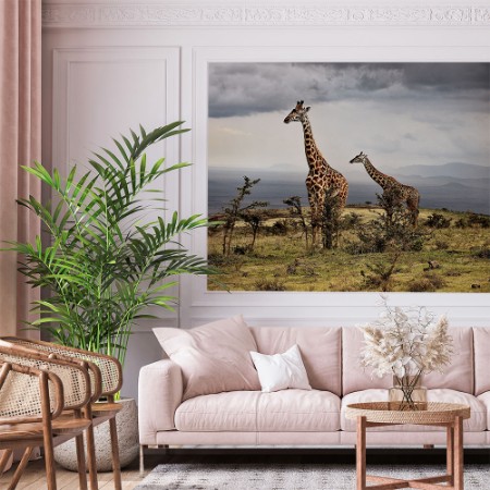Picture of Giraffe