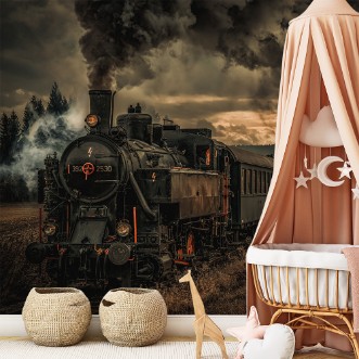 Image de Gold digger train