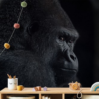 Picture of Gorilla blikk