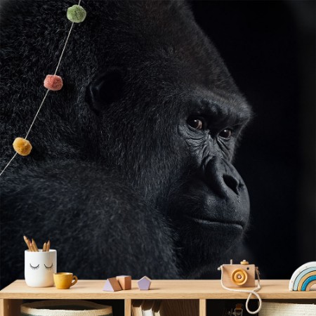 Picture of Gorillan katse