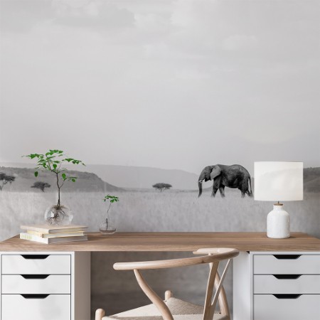 Image de HIGH KEY SAVANNAH