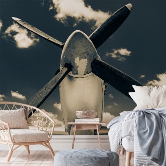 Picture of Missing the sky